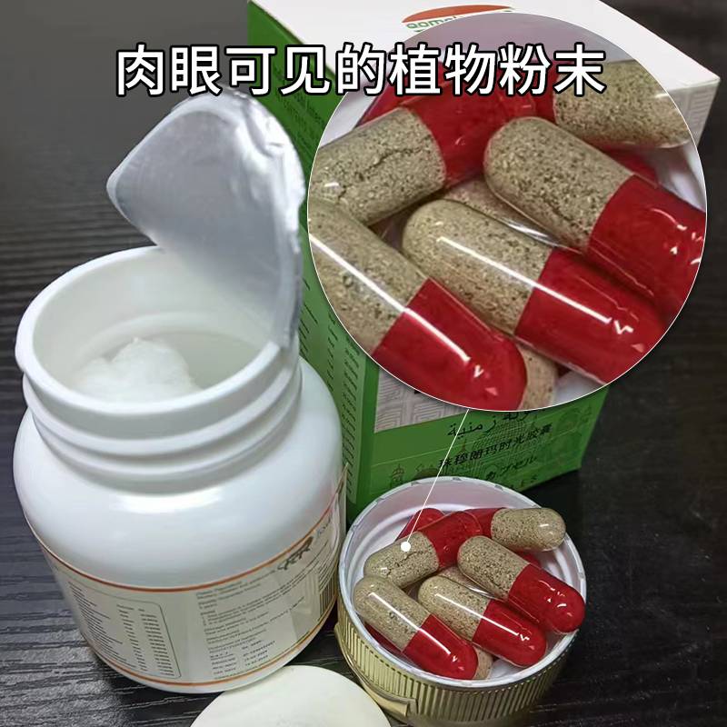 印度Qomolangma时光胶囊